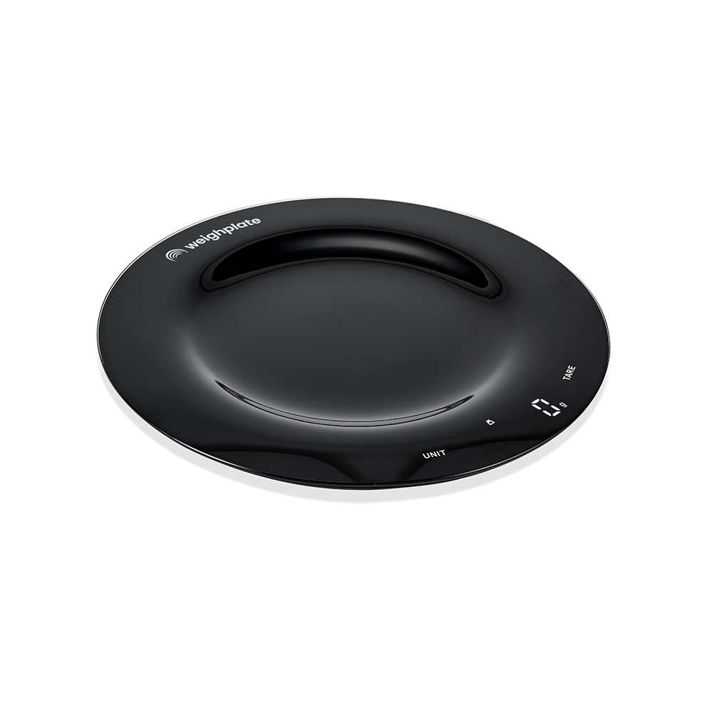 black-weighplate-angled_2